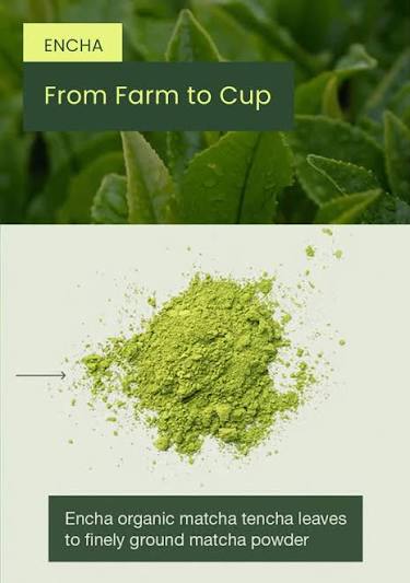 Madar Naturals 100% Organic Ceremonial Grade Matcha